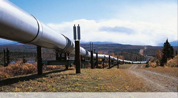 ���ޡ�bwin��Ӯ����(�й�)�ٷ���վ