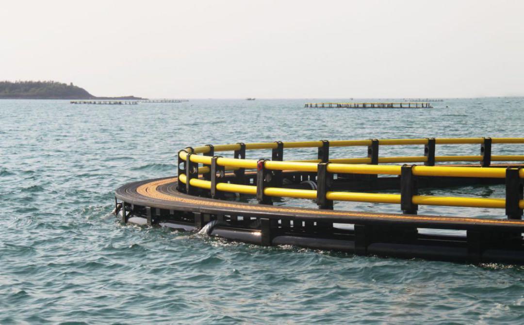 ���ޡ�bwin��Ӯ����(�й�)�ٷ���վ