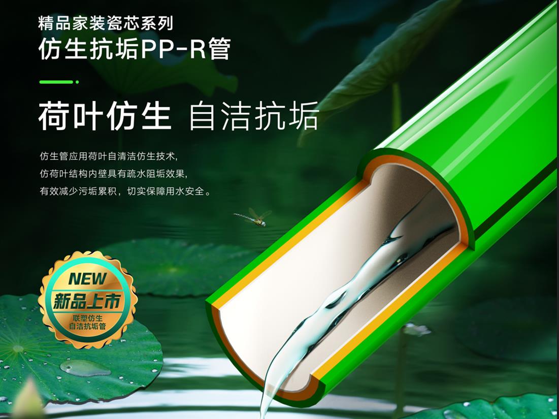 (��װ)��Ҷ�����Խ࿹��PP-R��