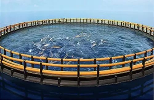 20230609140439_777 ÑÇÖÞ¡¤bwin±ØÓ®¹ú¼Ê(Öйú)¹Ù·½ÍøÕ¾