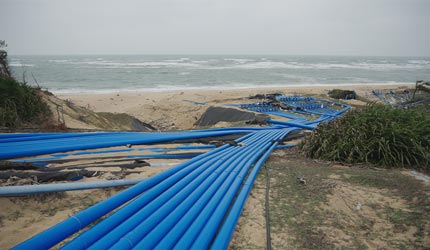 �й����ޱ�Ӯ���ƺ�����ɫũҵ��������չ