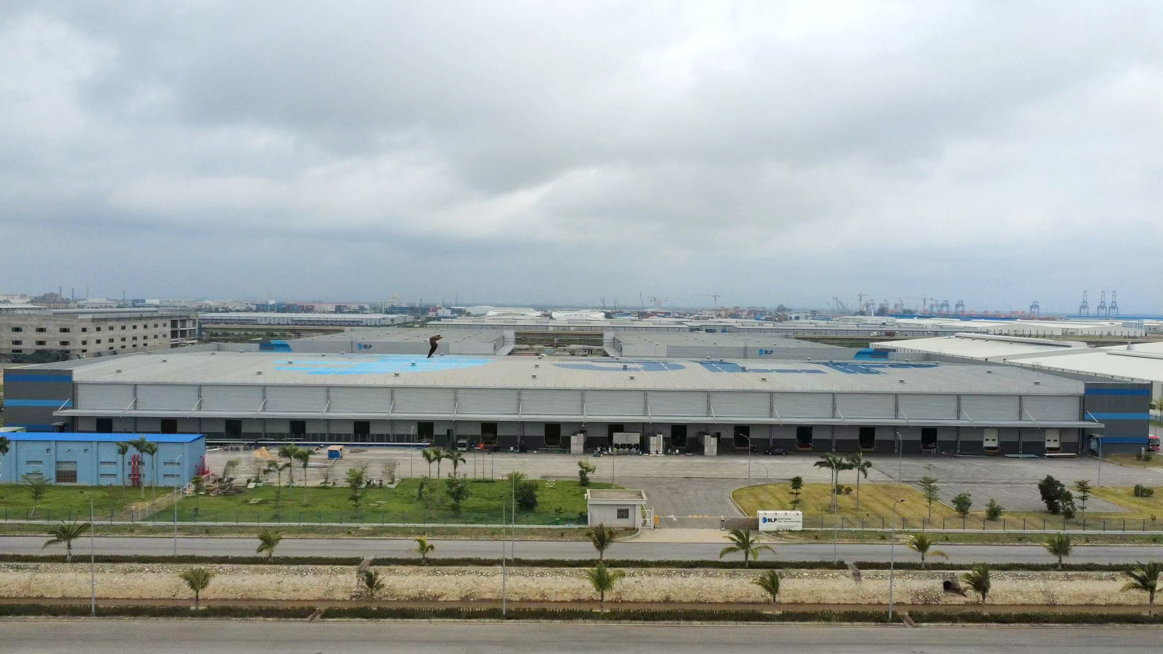 ���ޱ�ӮԽ����������