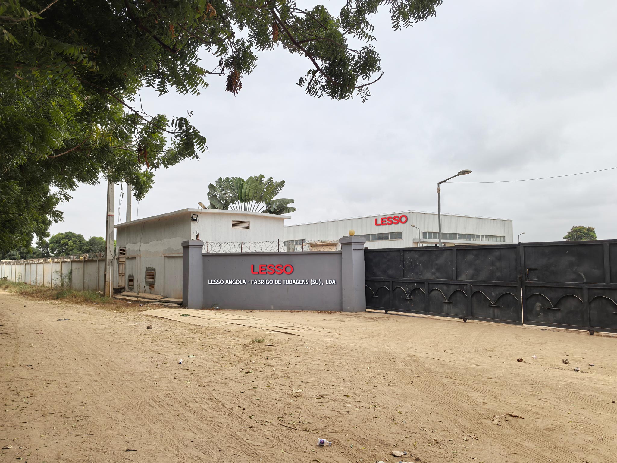 ���ޱ�Ӯ��������������